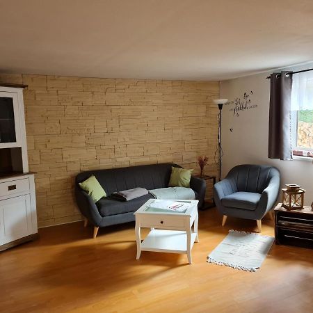 Haus Steindoebra Βίλα Klingenthal Εξωτερικό φωτογραφία